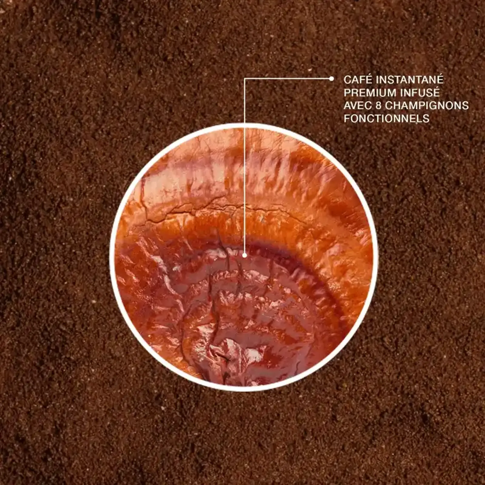 Nutriplus Delish Mushroom Coffee